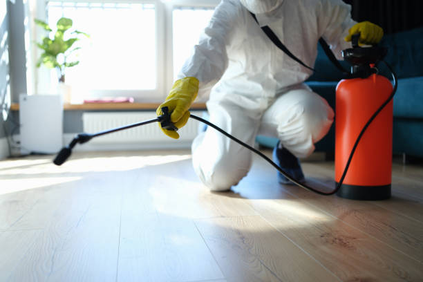 Reliable Odor Removal contractor in Berkeley, IL by Trauma Clean Pros